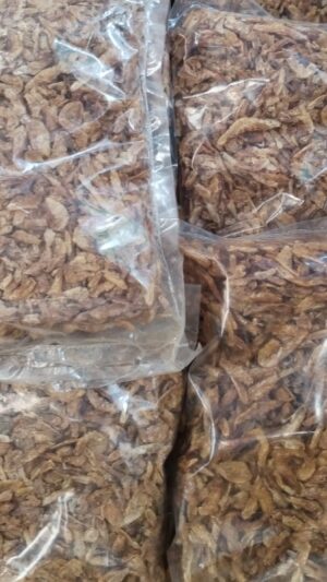 Dry Shrimp